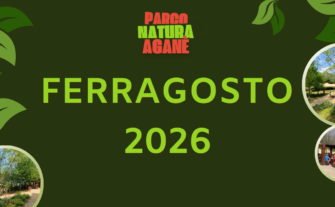 Ferragosto 2026: il RistoChiosco sarà aperto anche a pranzo